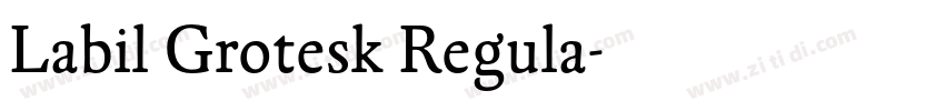 Labil Grotesk Regula字体转换